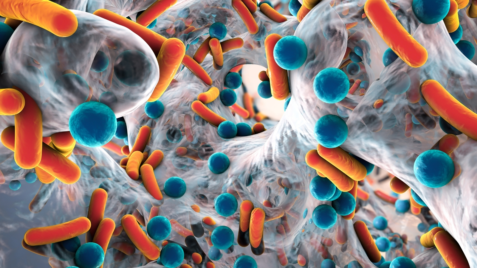 Biofilm Knowledge